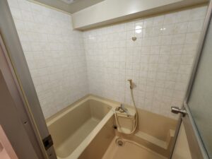 wisteria-bathroom