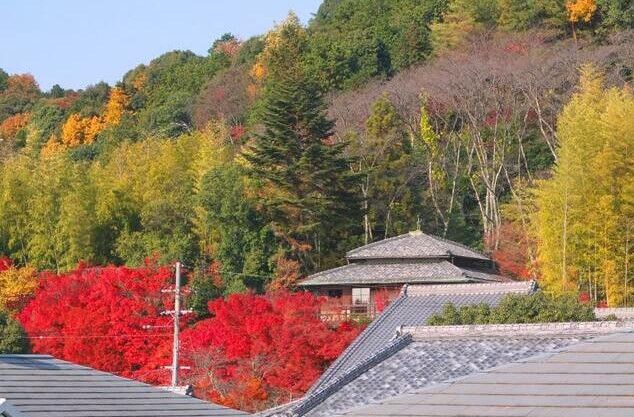 紅葉が見える家