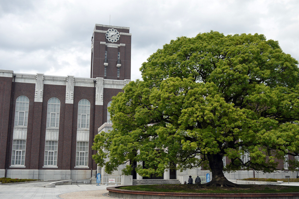 kyoto university