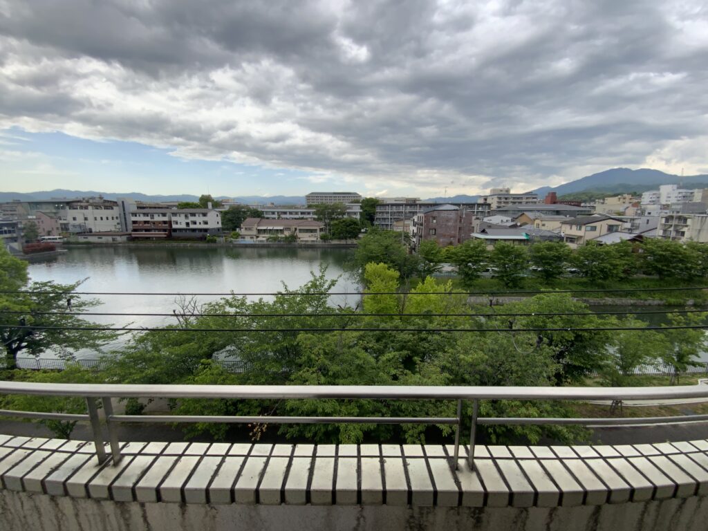 taniguchi-view
