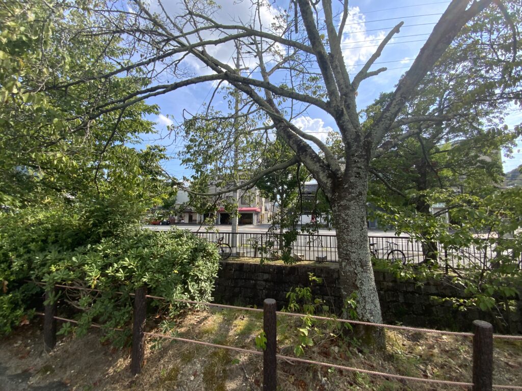 白川疎水