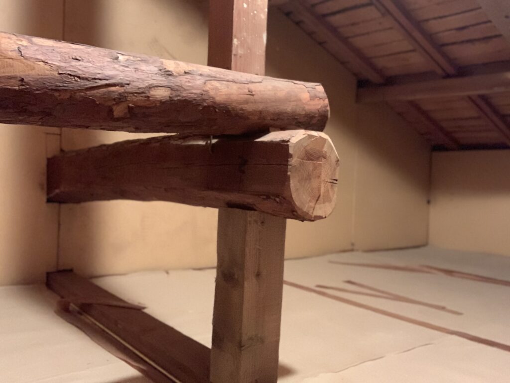 高野泉町-屋根裏6