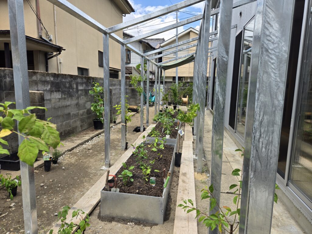 菜園